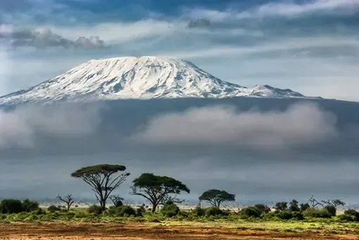 Mount Kilimanjaro rising above acacia trees