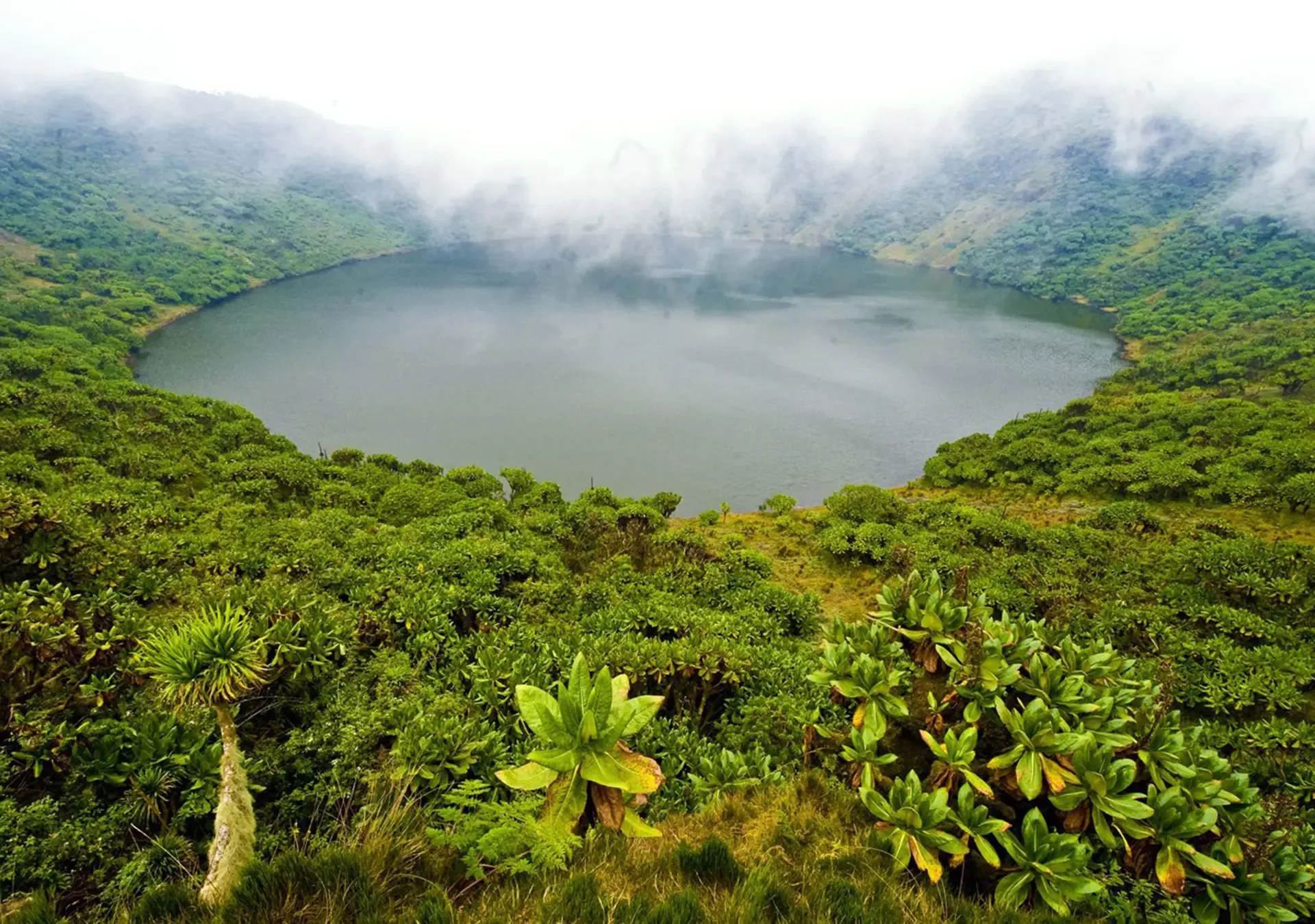 Lush green landscapes