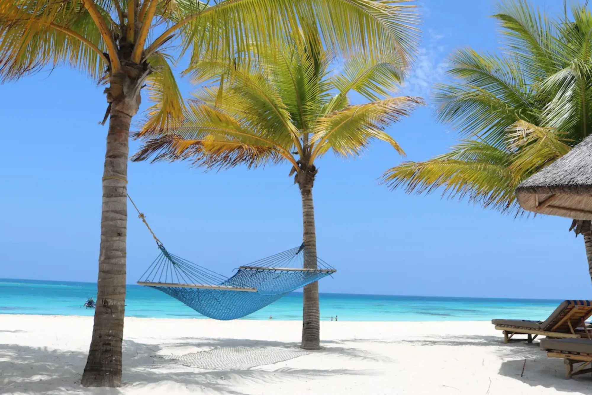 Top 10 Instagrammable Places in Tanzania