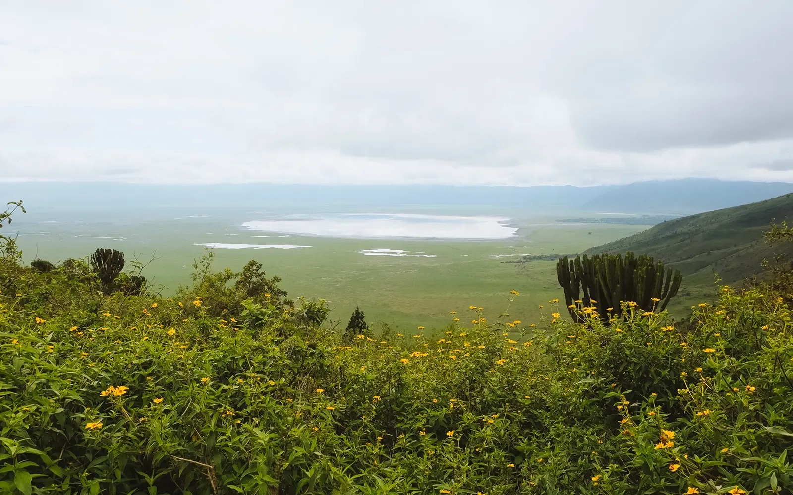 Ngorongoro Conservation Area