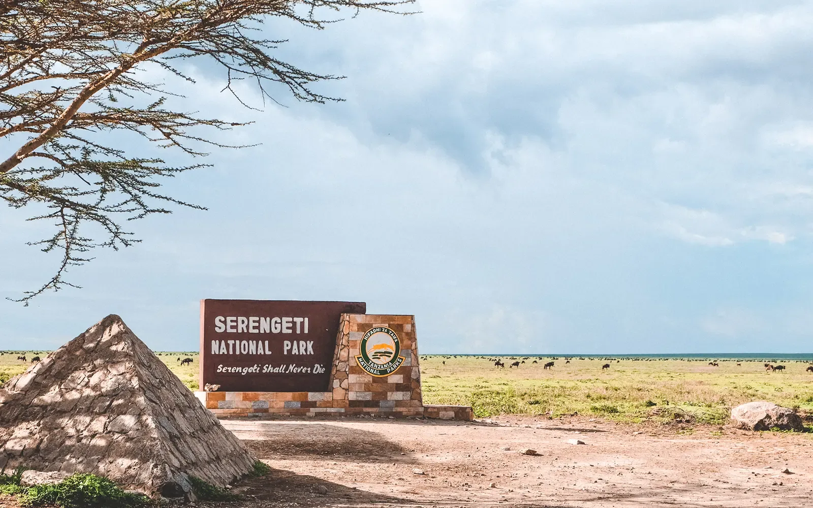 The Serengeti National Park entrance sign, with wildebeest grazing on the plains beyond.