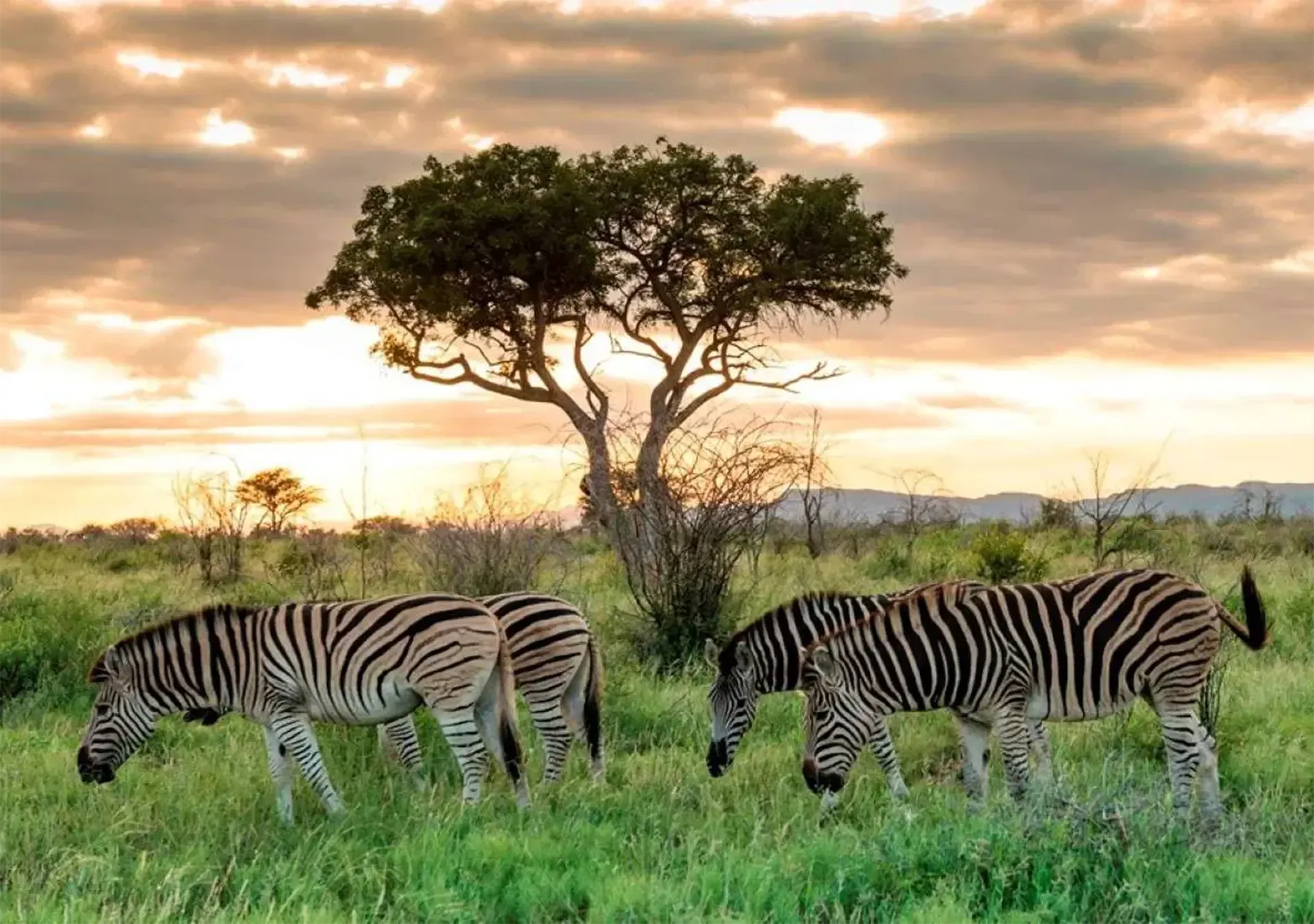 3 Days Kruger Explorer South Africa Tour