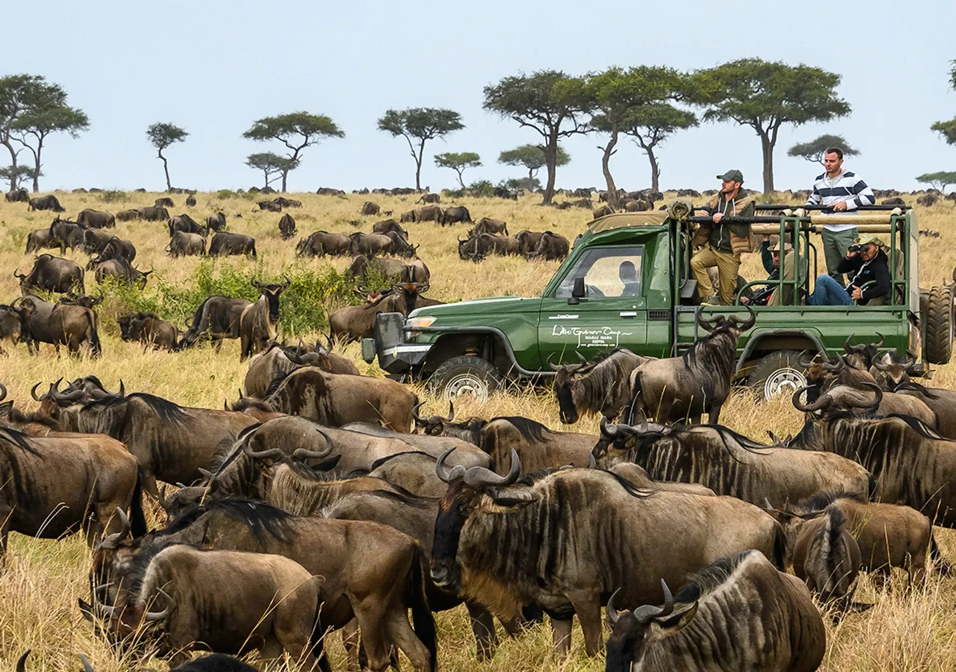5 Days Masai Mara Migration Safari