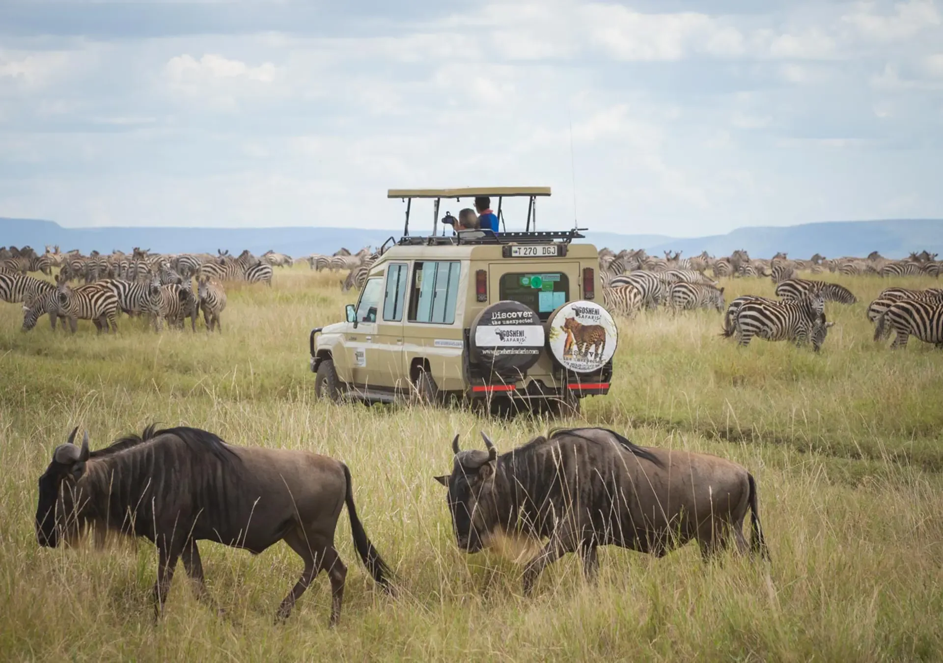8 Reasons Why Tanzania is the Best Safari Country