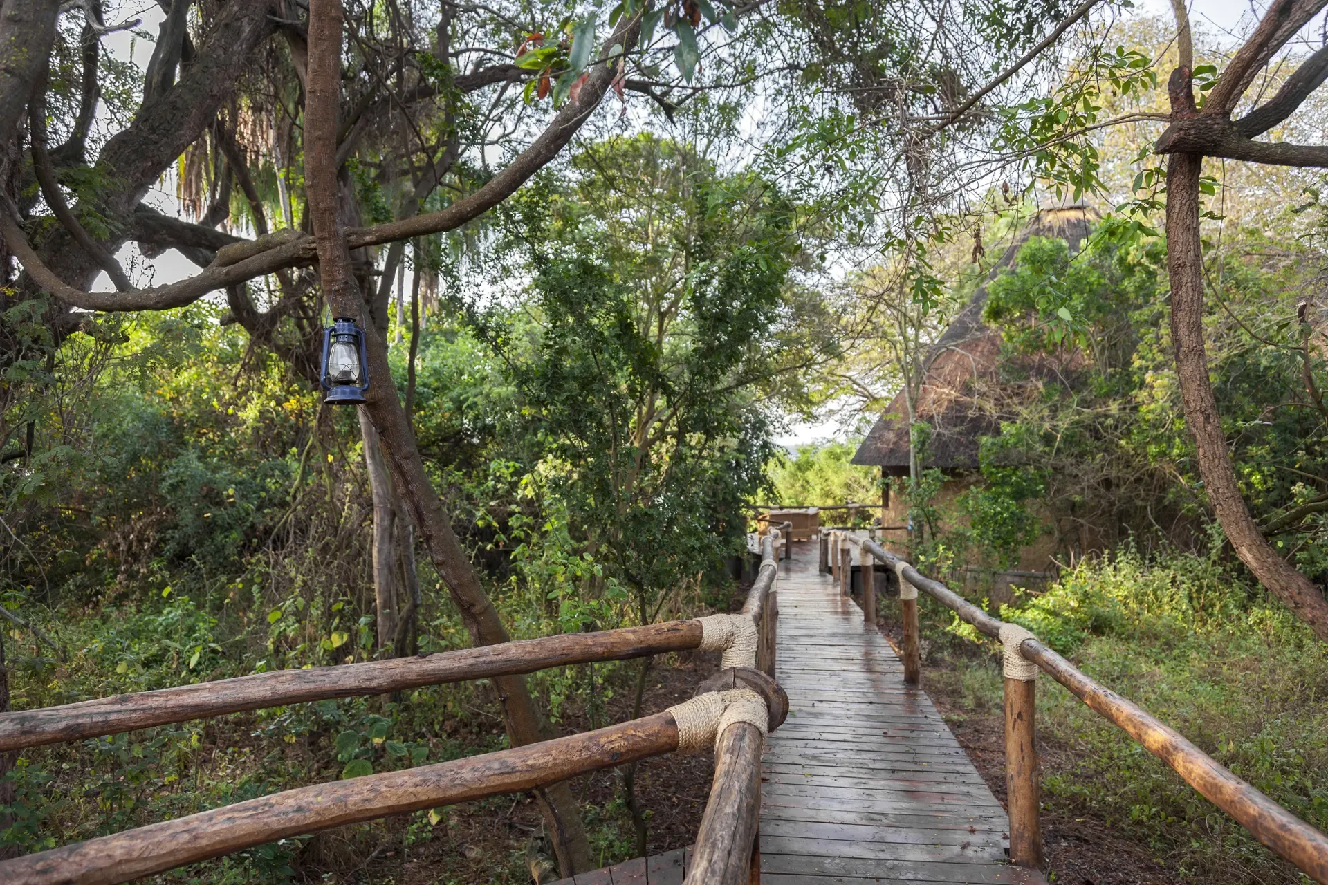 A timber walkway leads through the trees towards a thatched lodge in Akagera, Rwanda.