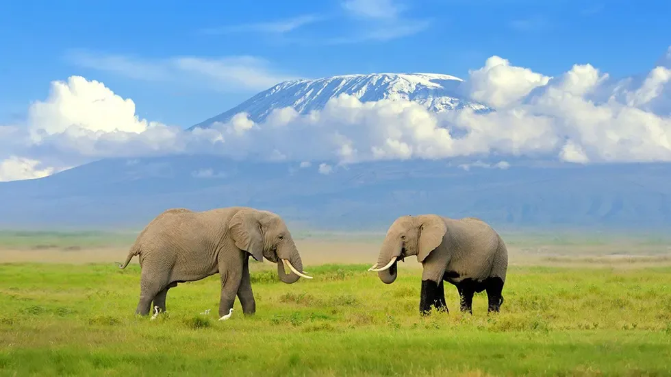 Amboseli National Park