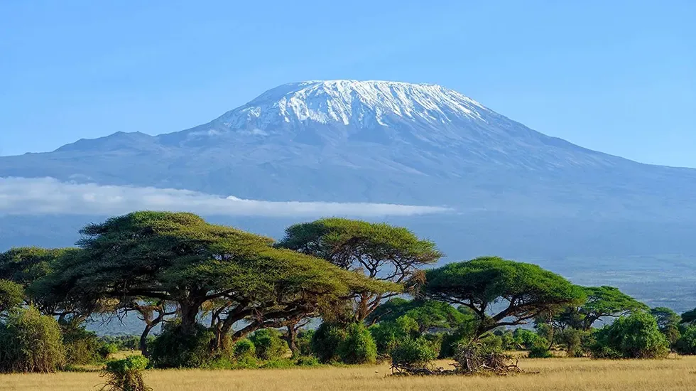 Snow-capped Kilimanjaro rising beyond acacia trees on the Amboseli plains.