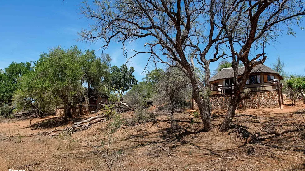 Safari lodge set among the trees of Balule Nature Reserve, South Africa.