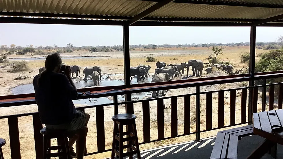 Watching elephants gather at the waterhole from the deck at Barangwe Pan.