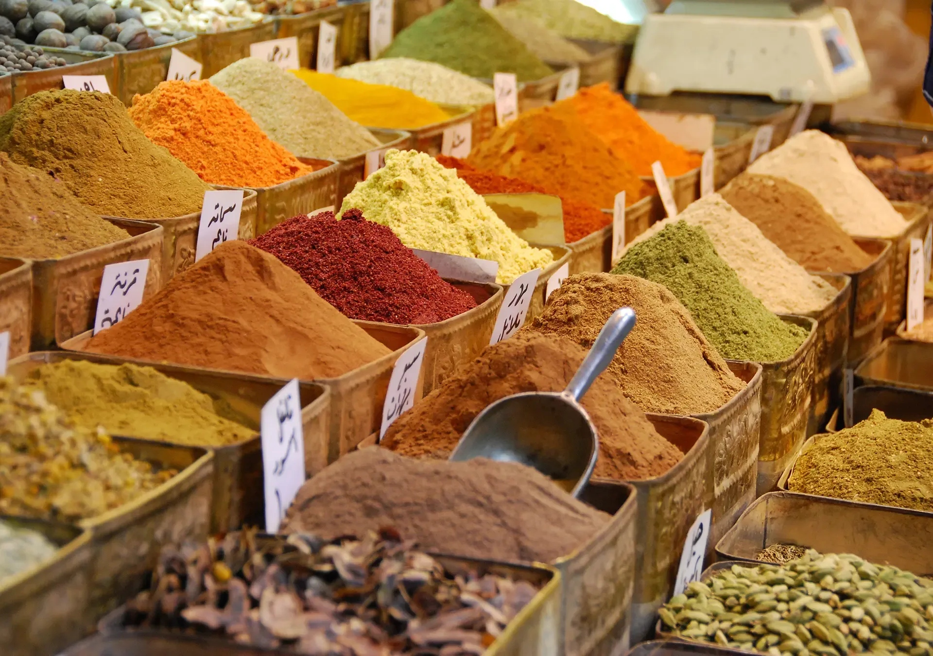 Best spice farms to visit in Zanzibar