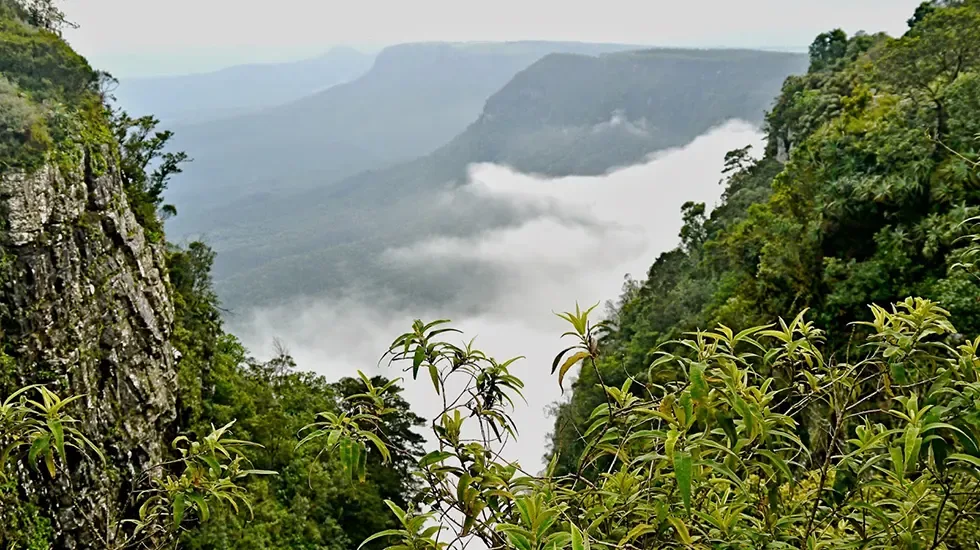 Low cloud fills the valleys below the Blyde River Canyon Nature Reserve in South Africa.