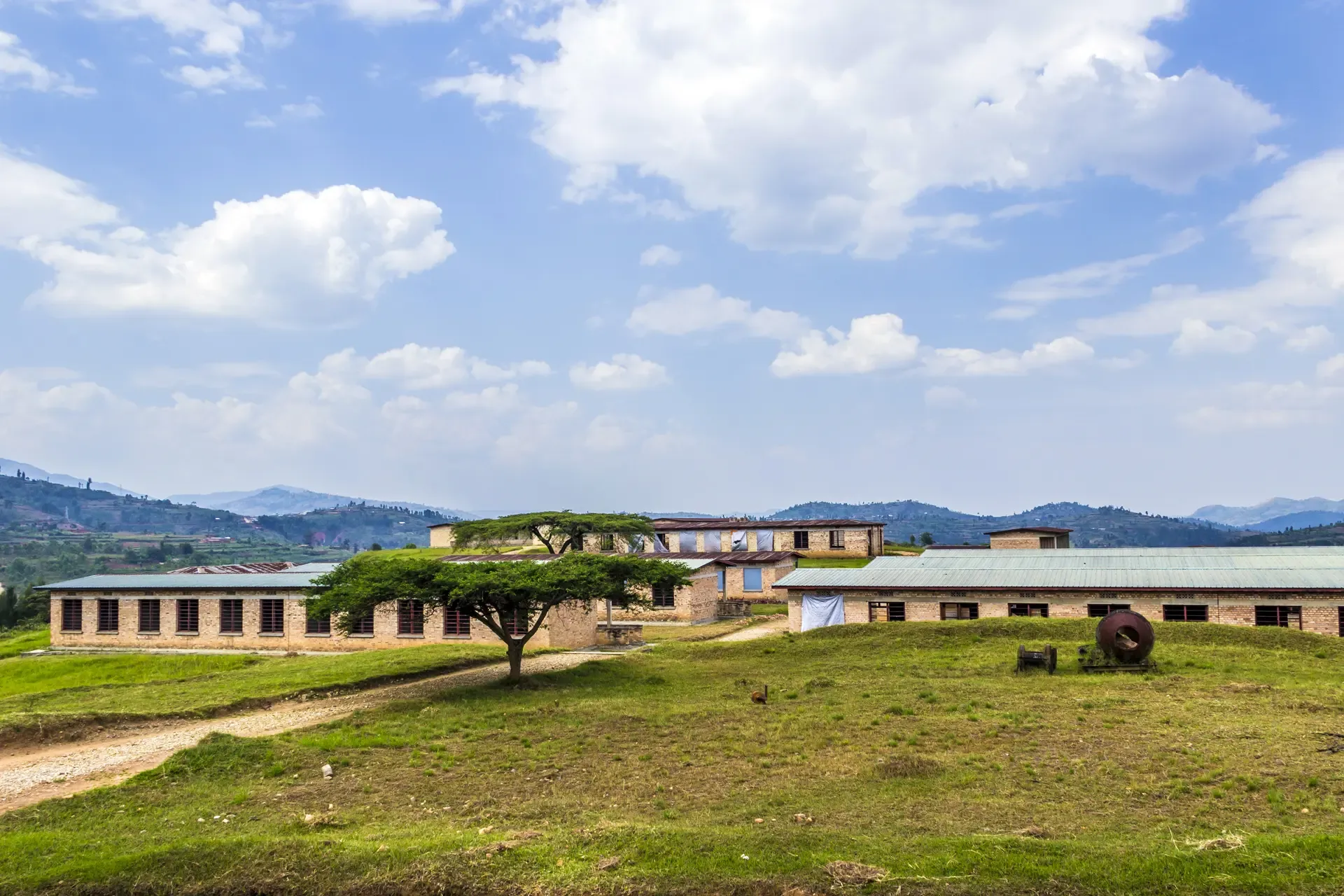 Low brick buildings and a lone acacia tree on the green hills around Butare, Rwanda.