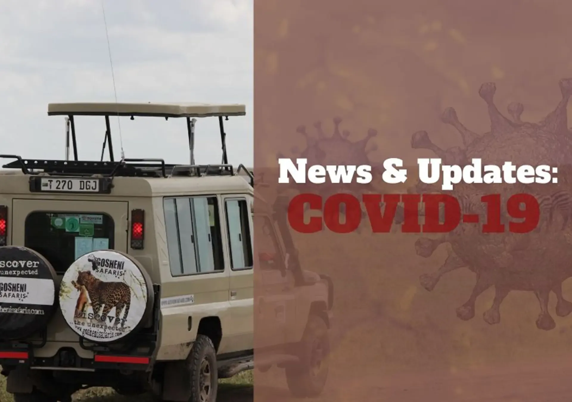 News & Updates: COVID-19