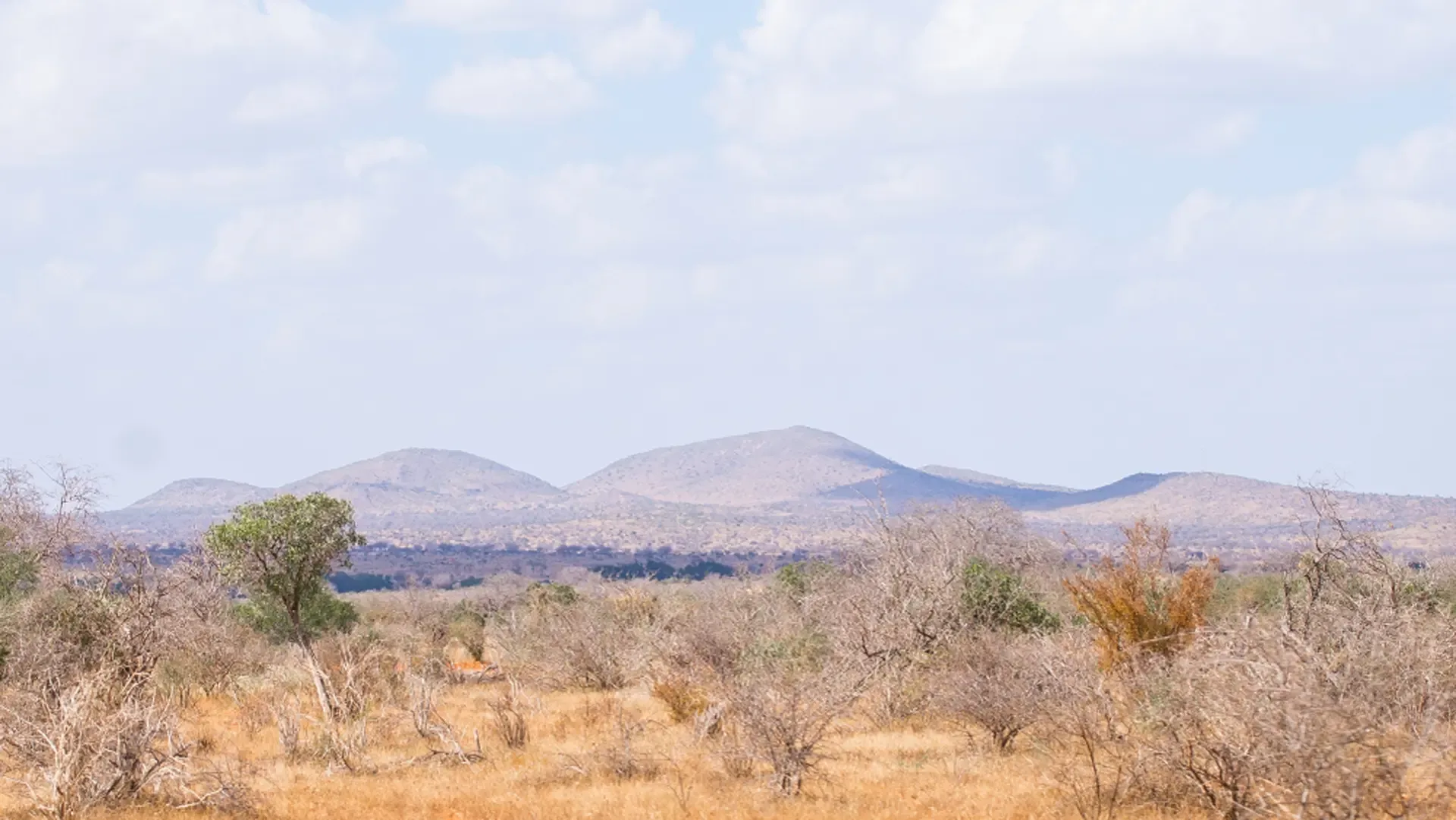 7 Days Kenya Classic Air Safari