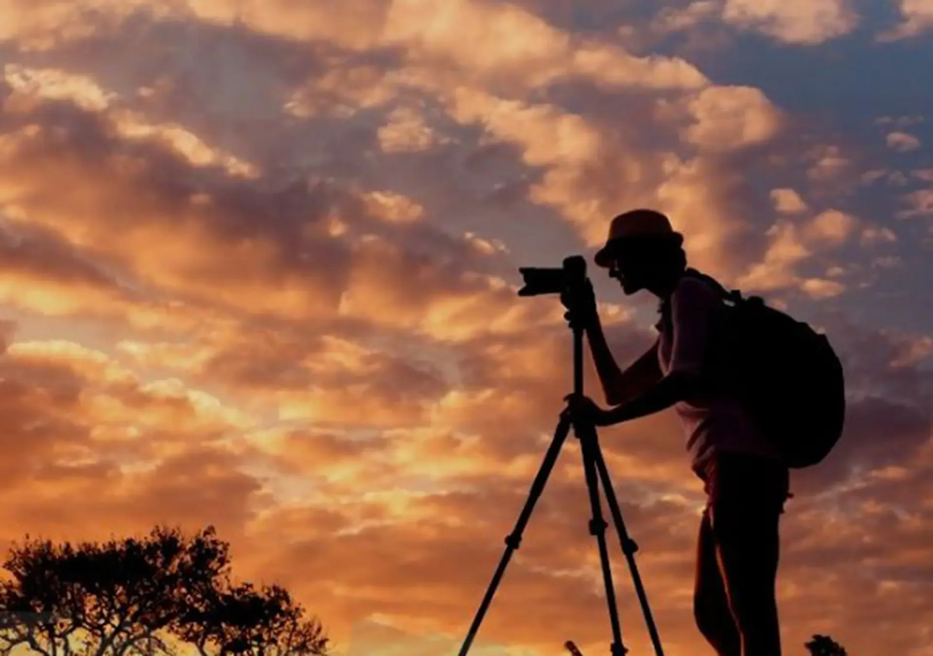 Wildlife Photography Tips for Your Next Kenya Safari