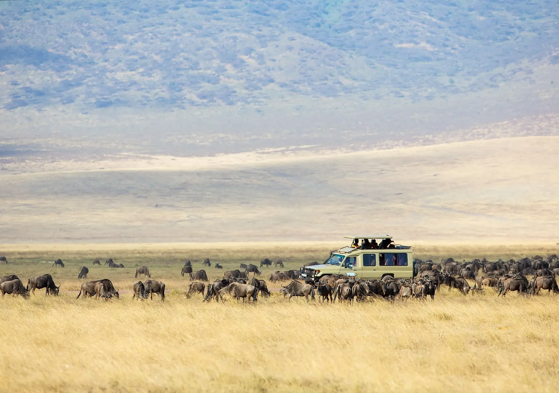 A game drive in Ngorongoro Crater