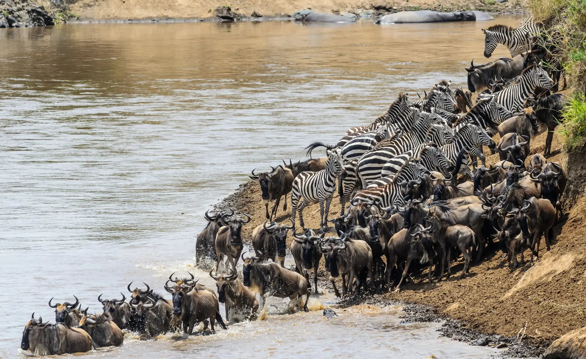 10 Days Exclusive Serengeti Safari (Journey for Migration River Crossing)