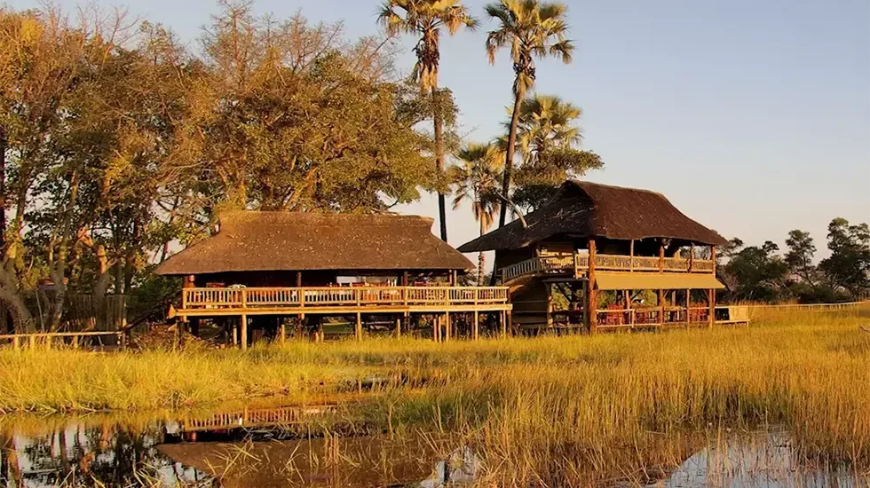 Thatched timber decks at Gunns Camp in Botswana, raised above the delta reeds at golden hour.