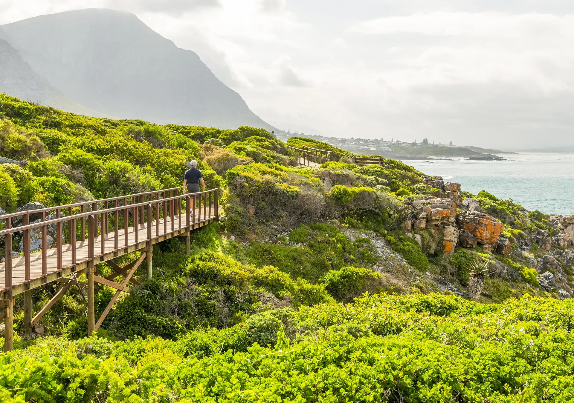 Hermanus