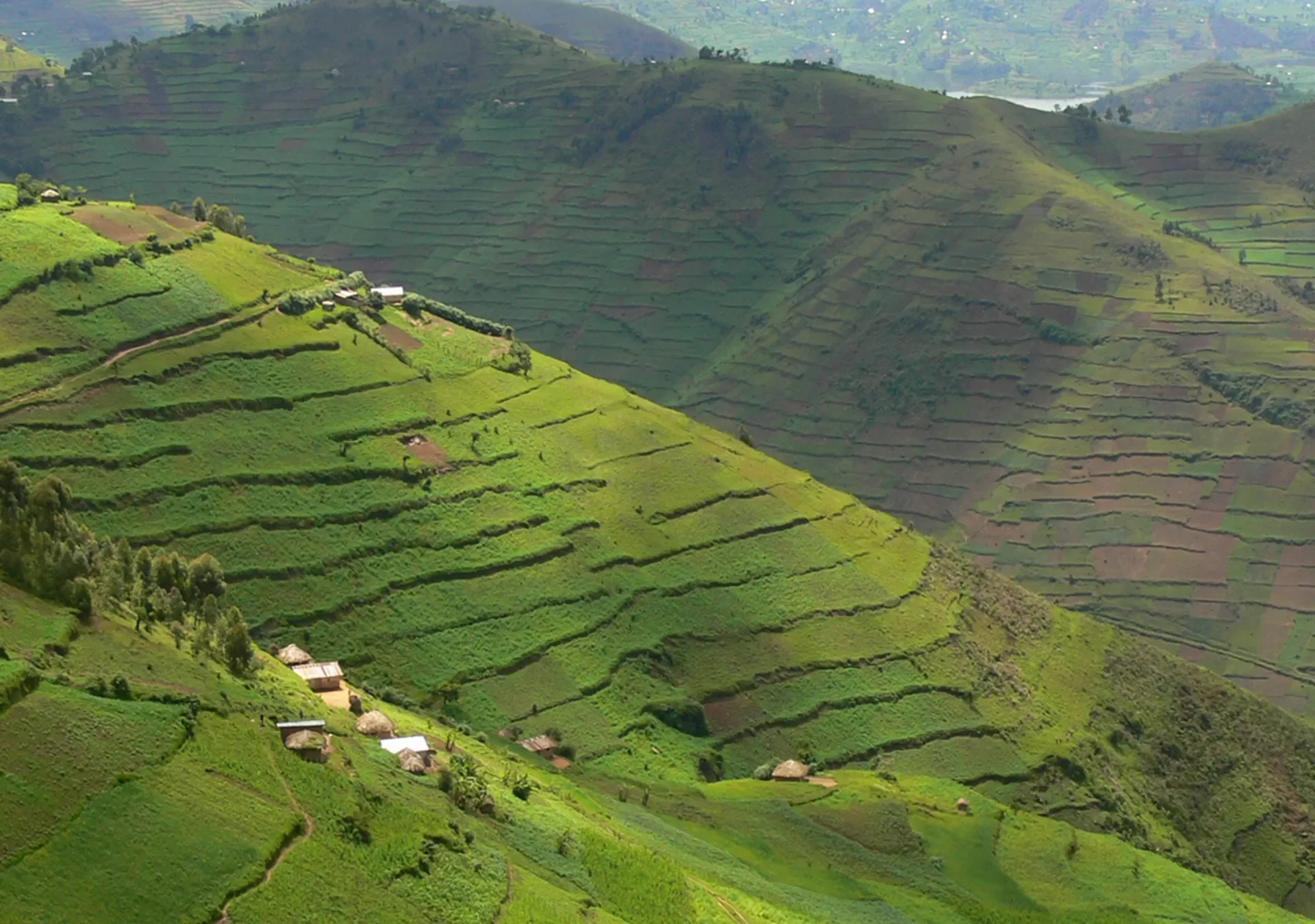 Kabale