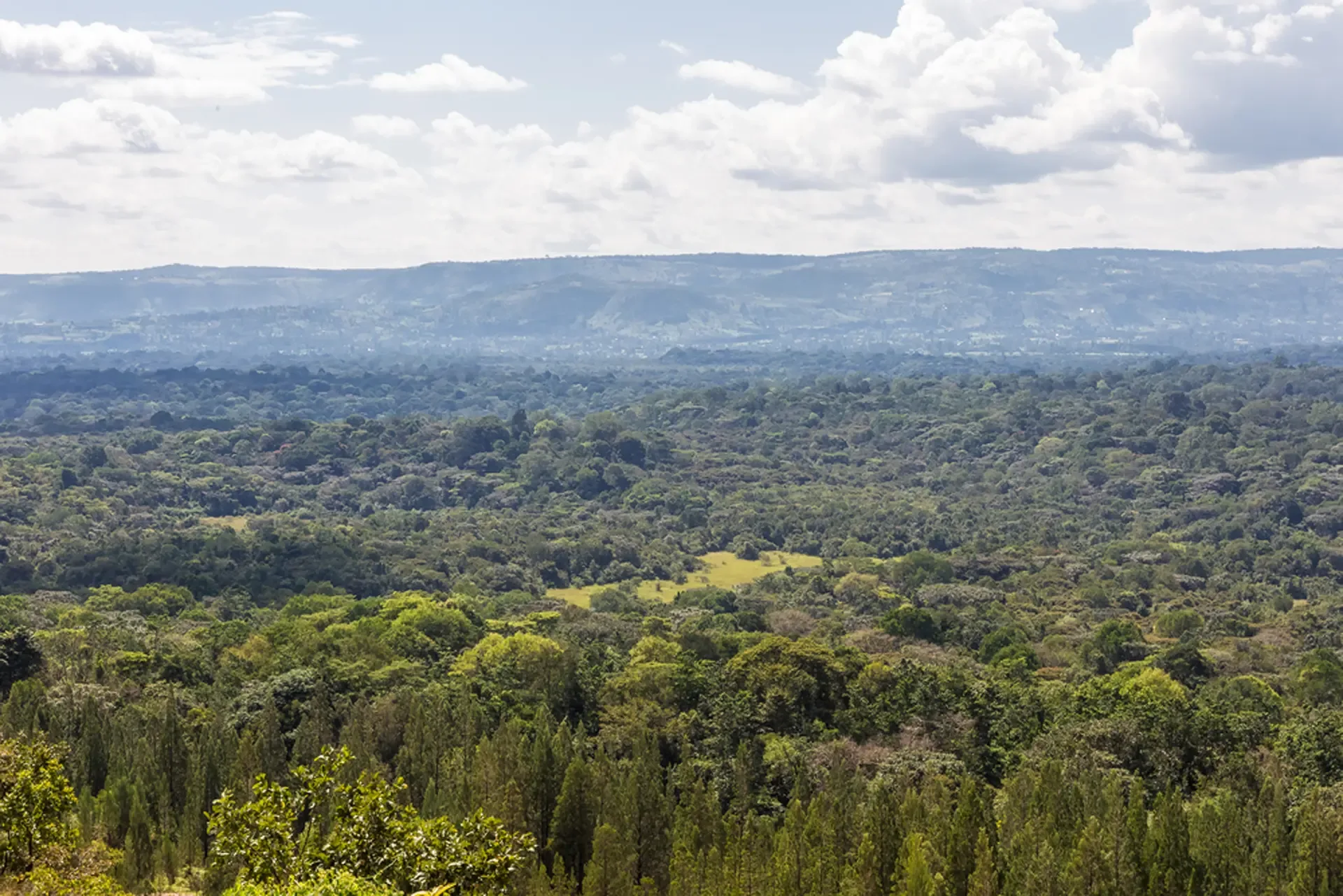 7 Days Kenya Expert Air Safari