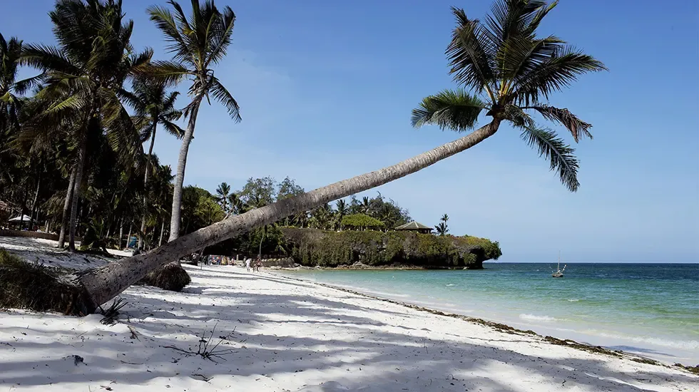 A leaning palm frames the white sand and calm turquoise water of the Kenyan coast.
