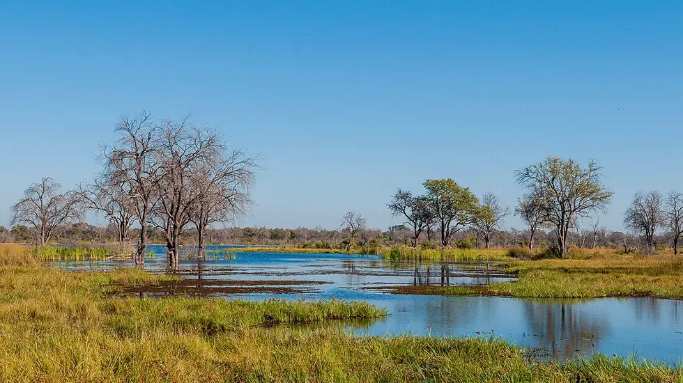 Khwai concession (Okavango delta, Botswana) pt2