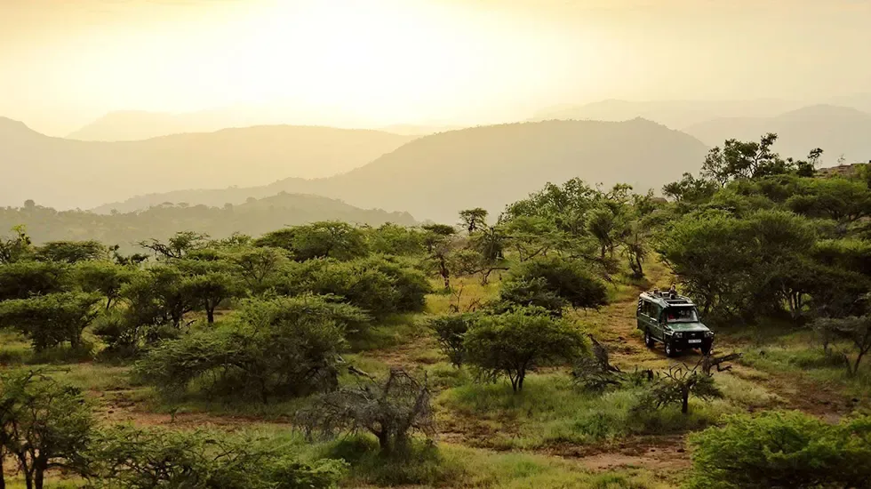 A safari vehicle threads through the green bush of Laikipia, Kenya, in golden afternoon light.