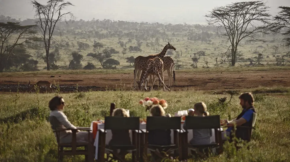 Dining in the open plains of Laikipia, Kenya, as giraffes wander past.