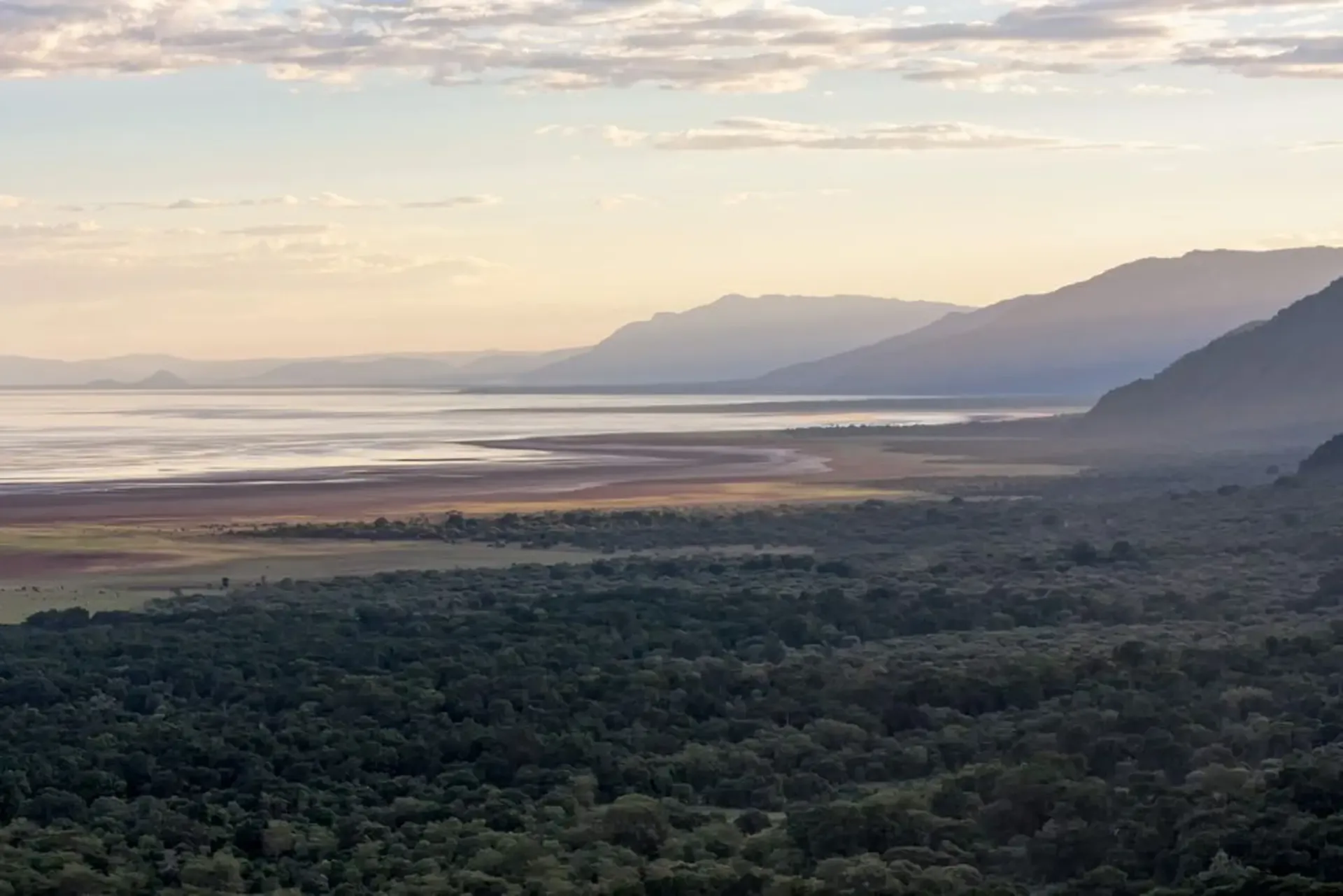Evening light over Lake Manyara National Park, Tanzania, seen across the lake and its wooded shore.