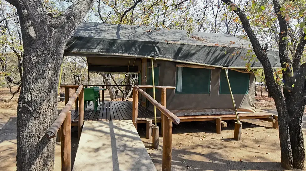 A canvas safari tent on a raised wooden deck at Letaba Rest Camp, Kruger National Park.