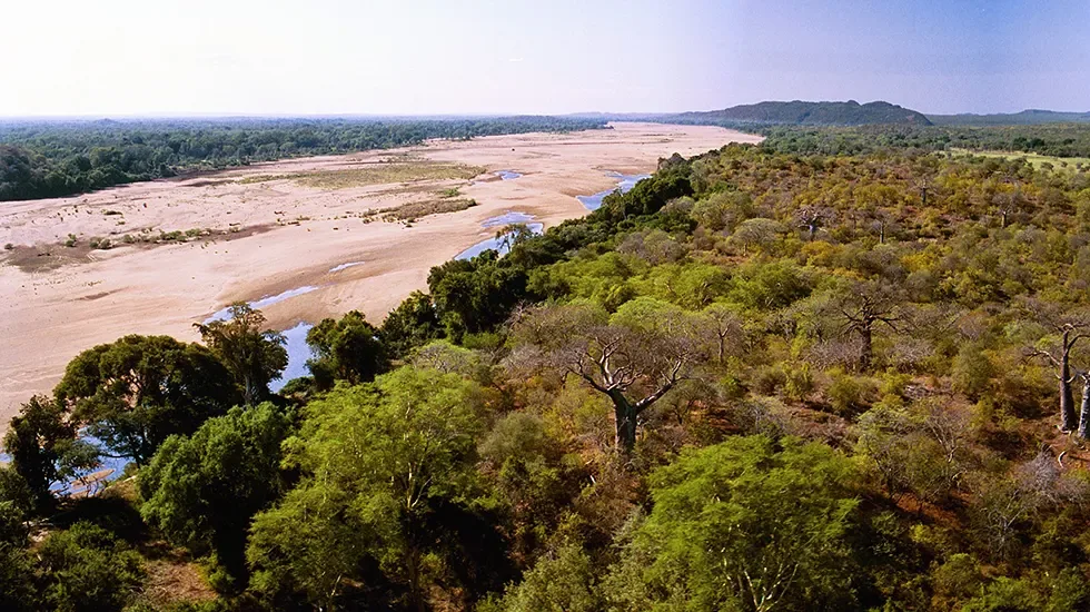 A river winding through the green bush of Limpopo National Park, Mozambique.