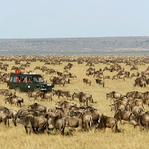 Masai Mara National Reserve