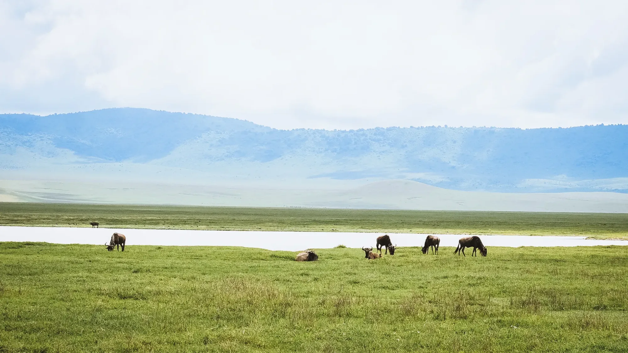 Masai Mara Reserve-Places to Visit bg