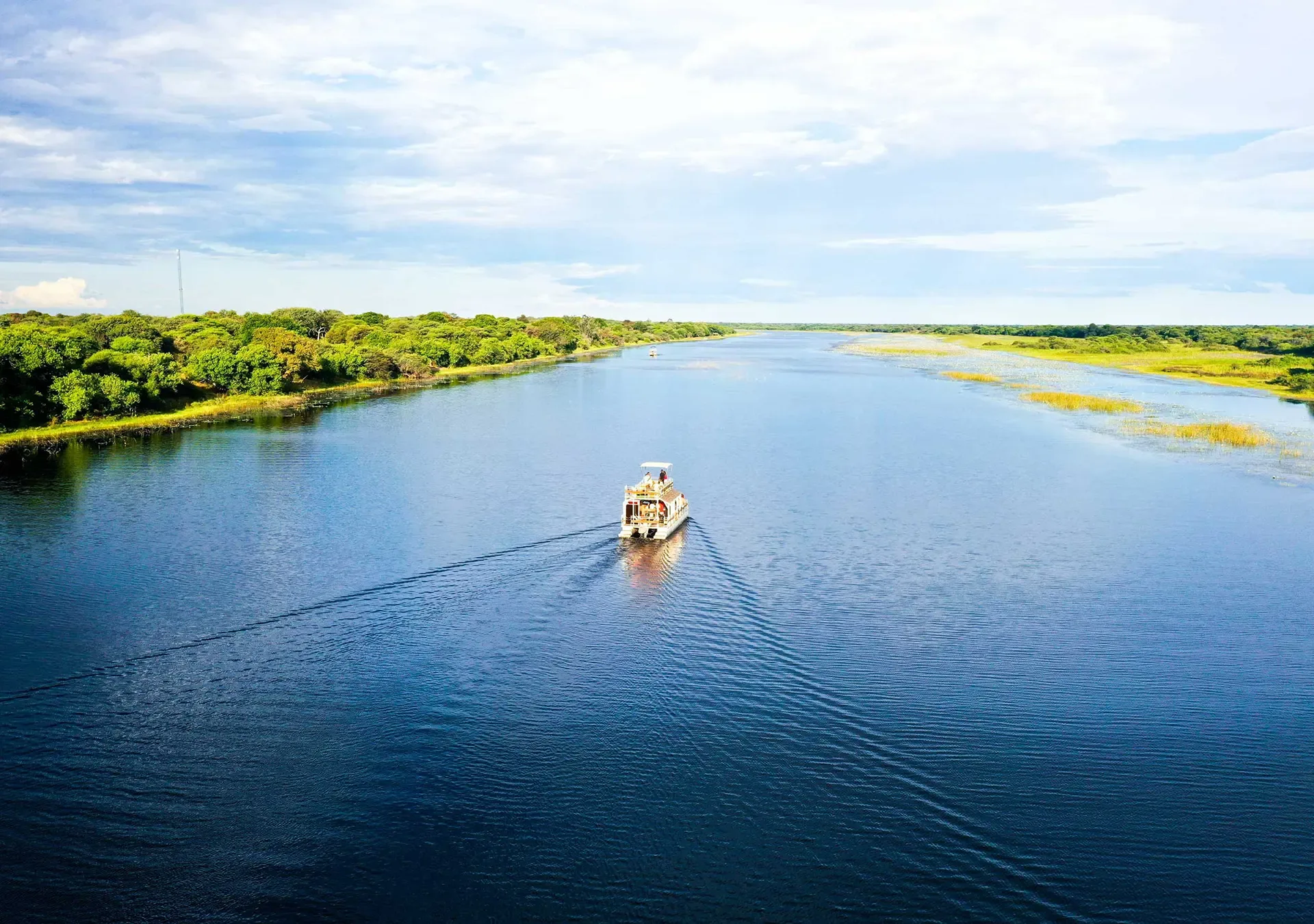 Maun