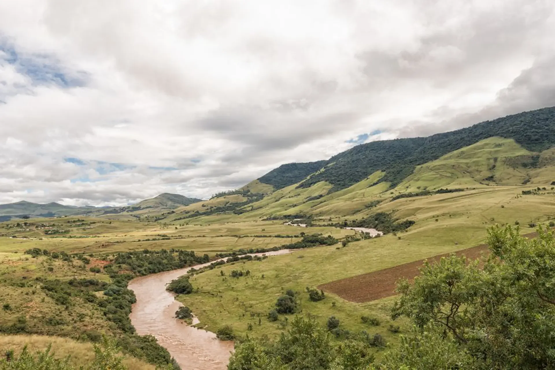 Mkomazi National Park Day Trip from Moshi