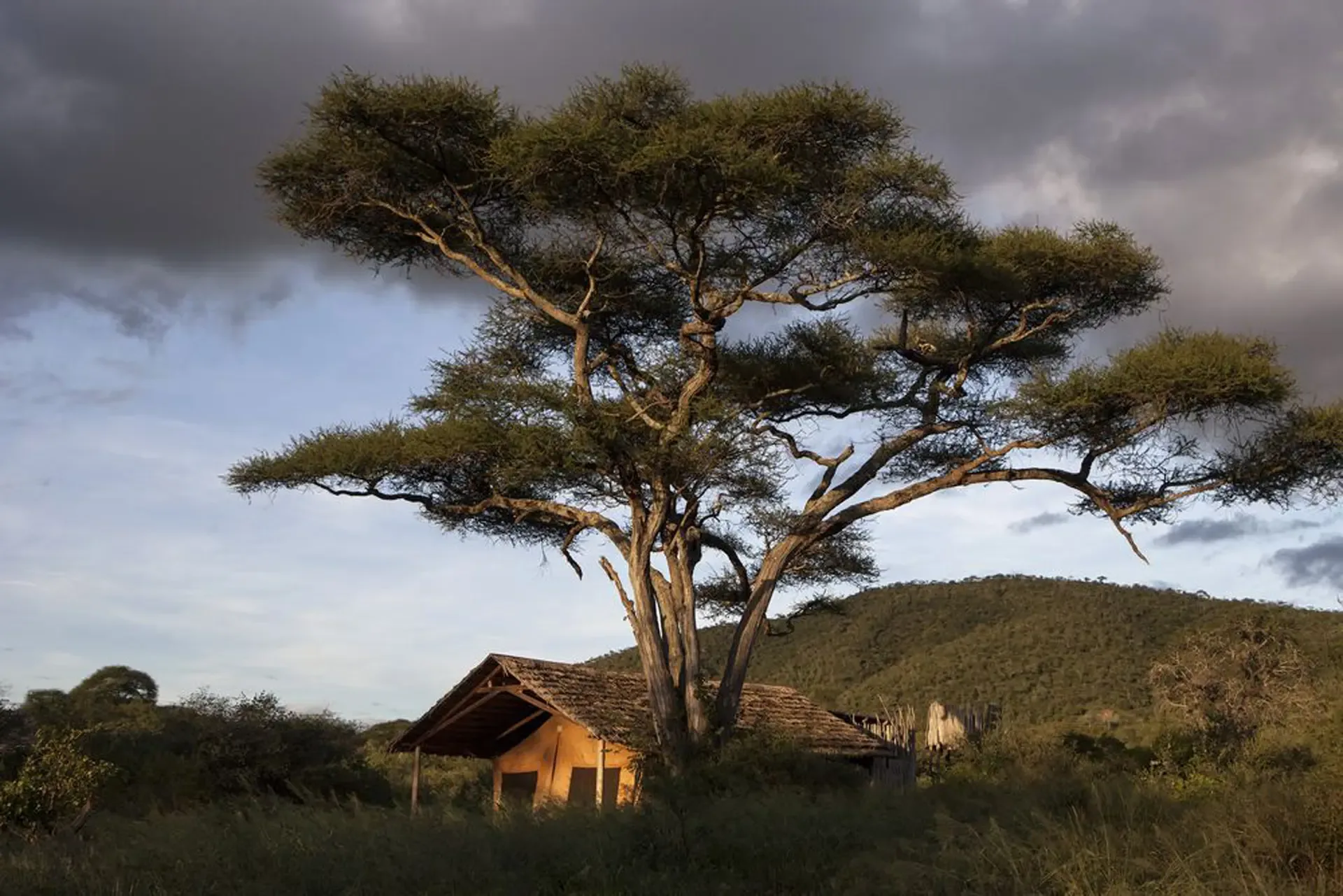 5 Day Explore Tanzania Safari Year End Special
