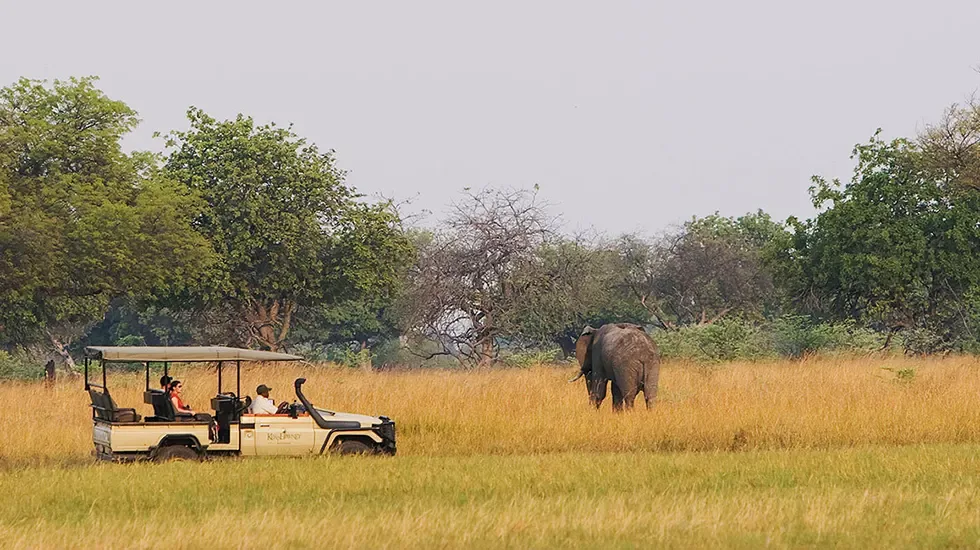 A game drive vehicle watches an elephant in the tall grass of Moremi National Park, Botswana.