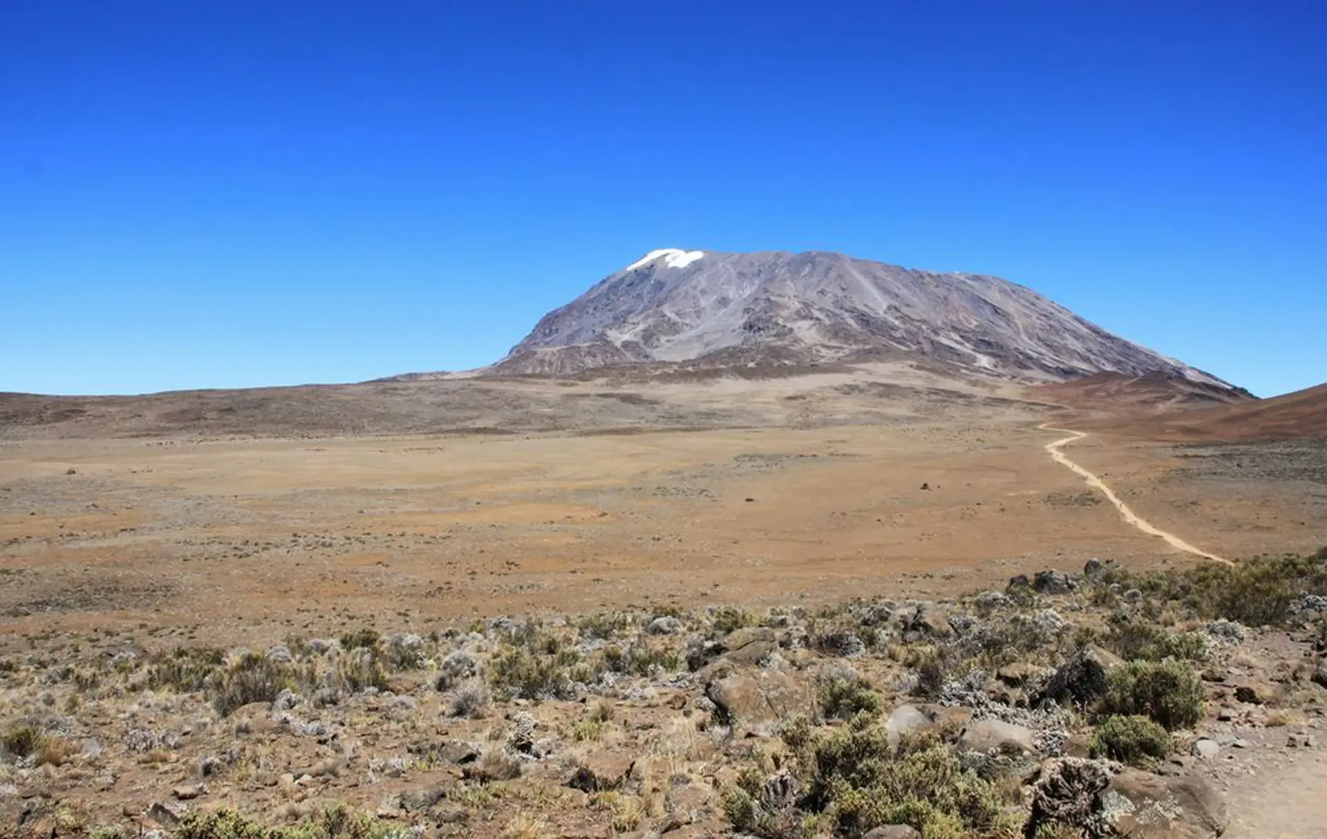 Mount Kilimanjaro rising over the alpine desert on the Marangu route, Tanzania.
