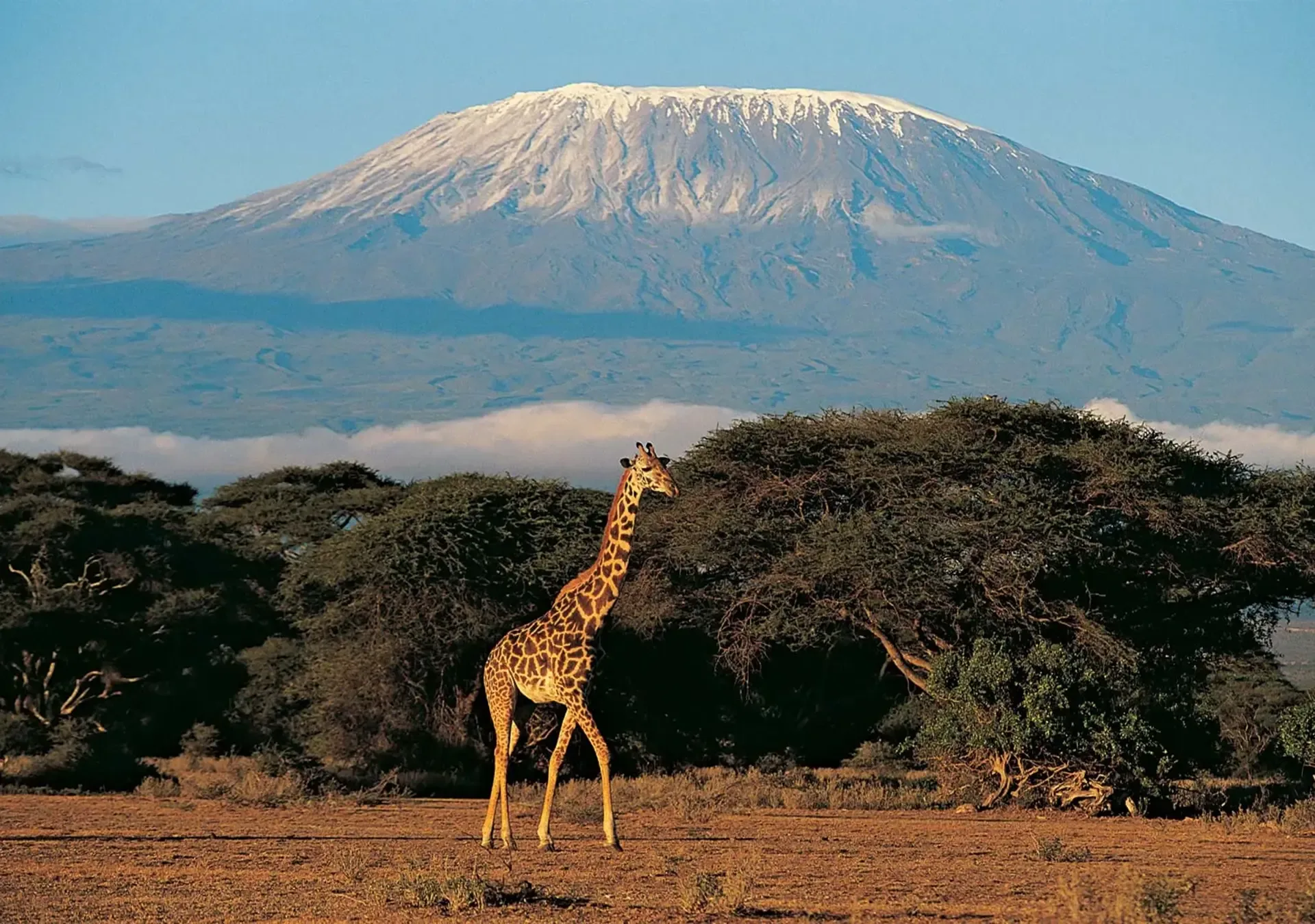 Climbing Mt. Kilimanjaro