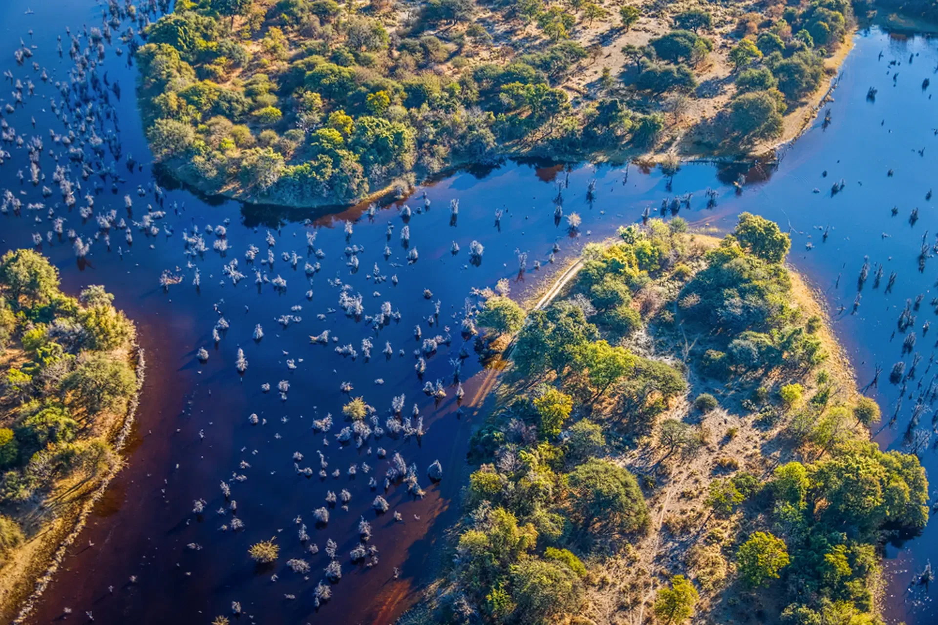 Okavango Delta flood arrives