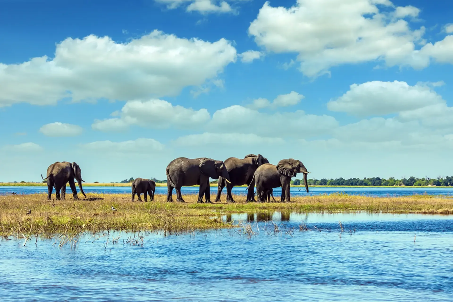 Peak Okavango flood levels