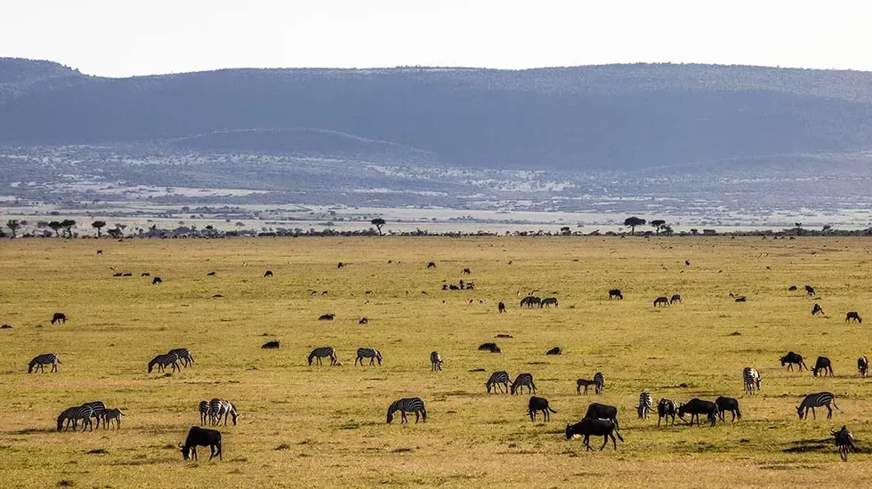 Ol Kinyei Conservancy