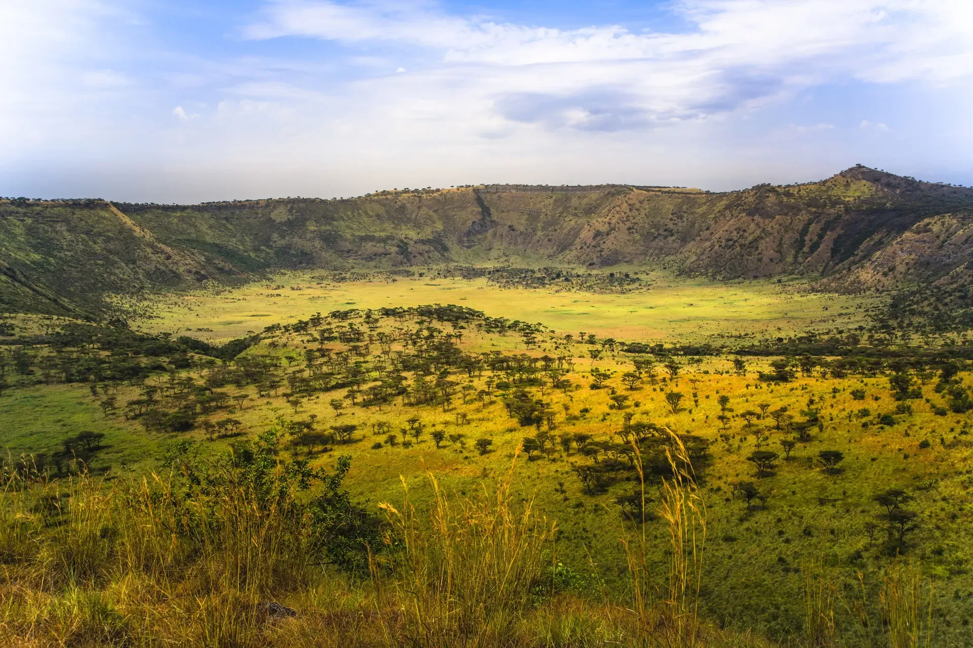 Grassland dotted with acacia trees inside a crater in Queen Elizabeth National Park, Uganda.