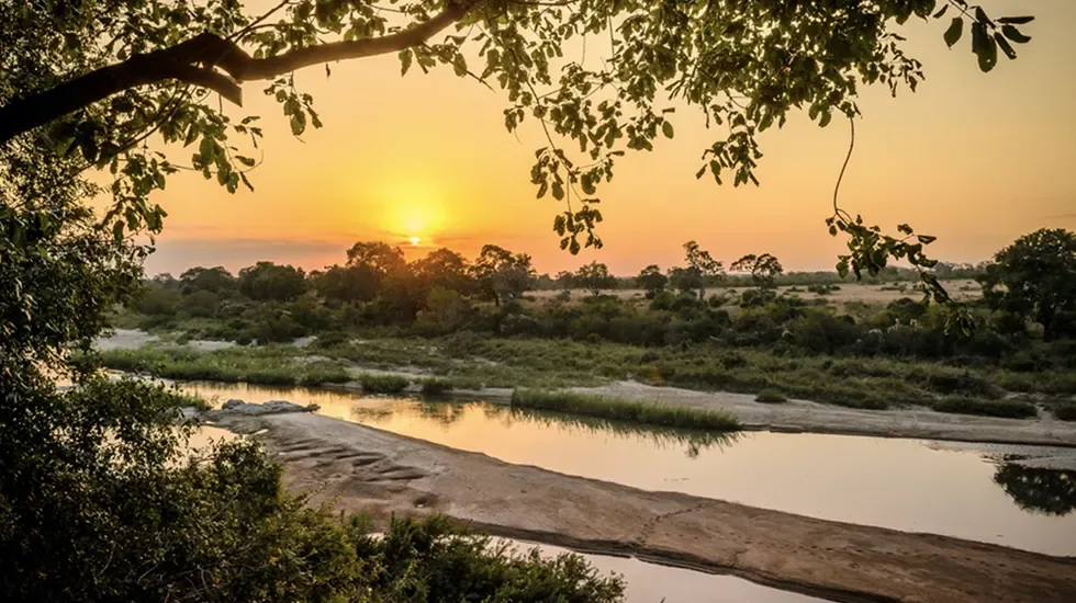 3 Days Sabi Sands Game Reserve Safari