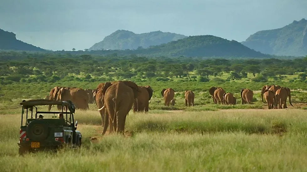 Samburu National Reserve