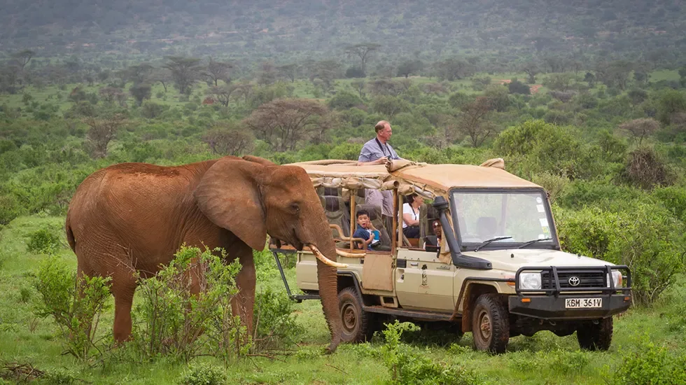 An elephant passes close to a safari vehicle in Samburu, Kenya.