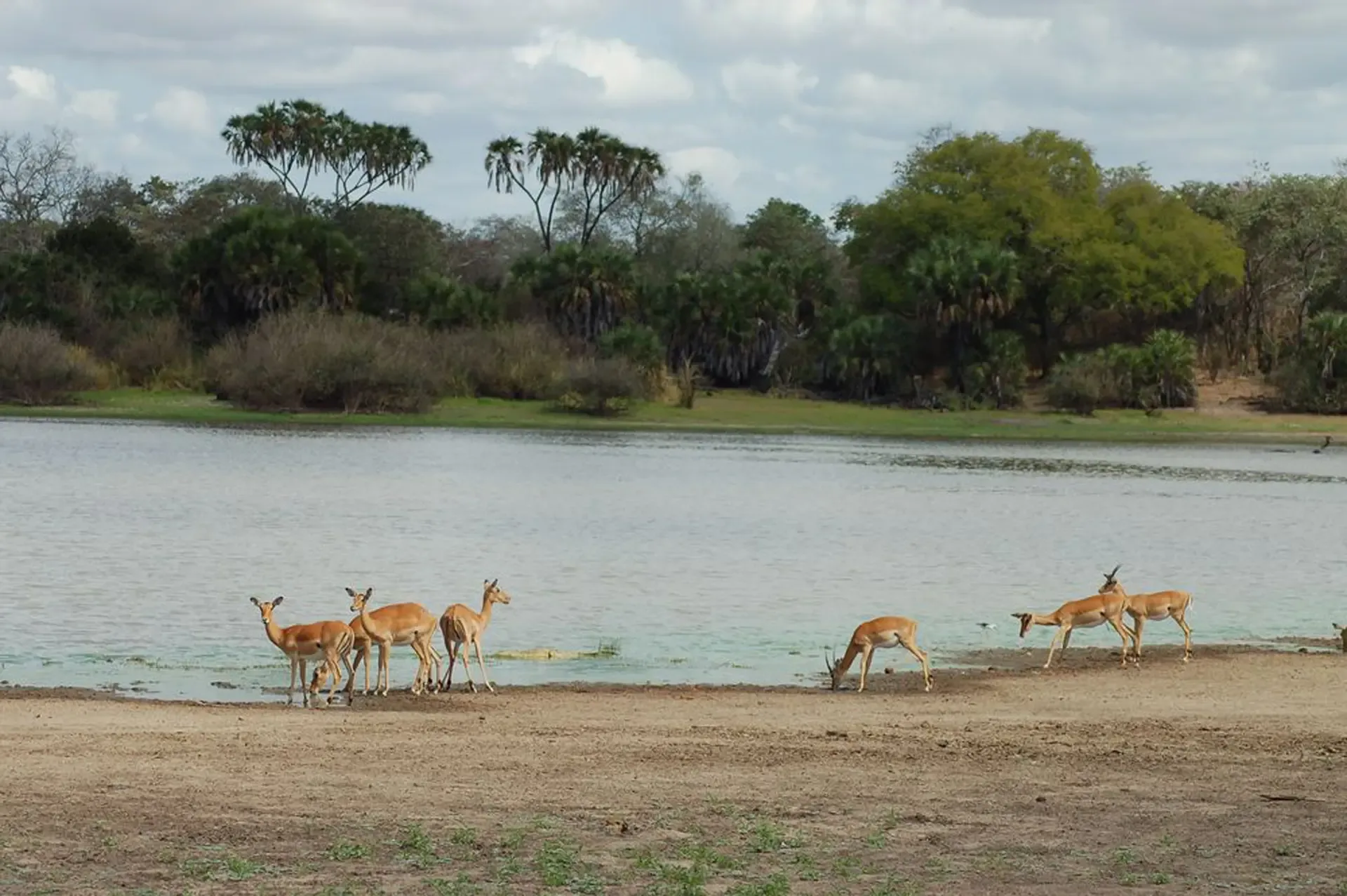 Nyerere National Park (formerly Selous Game Reserve)