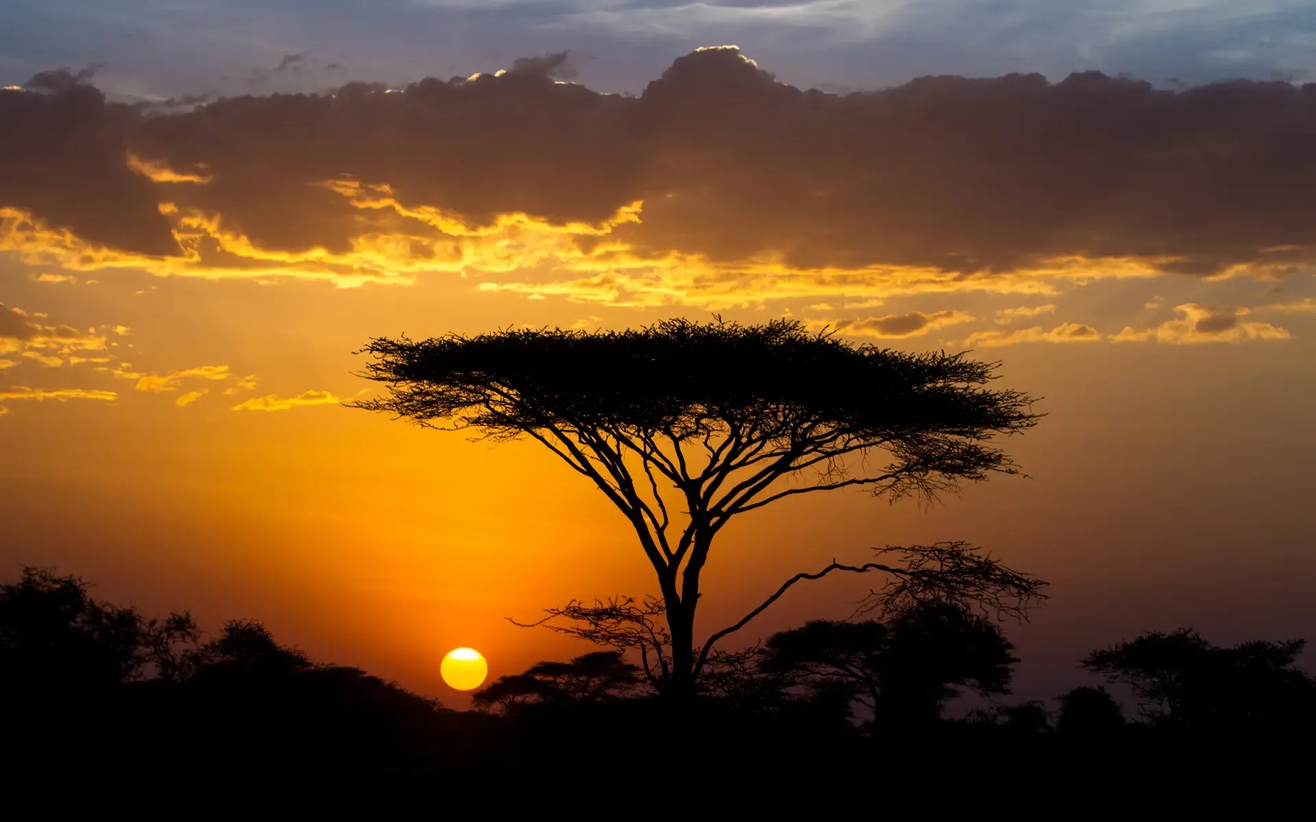 3 Days Serengeti Classic Safari