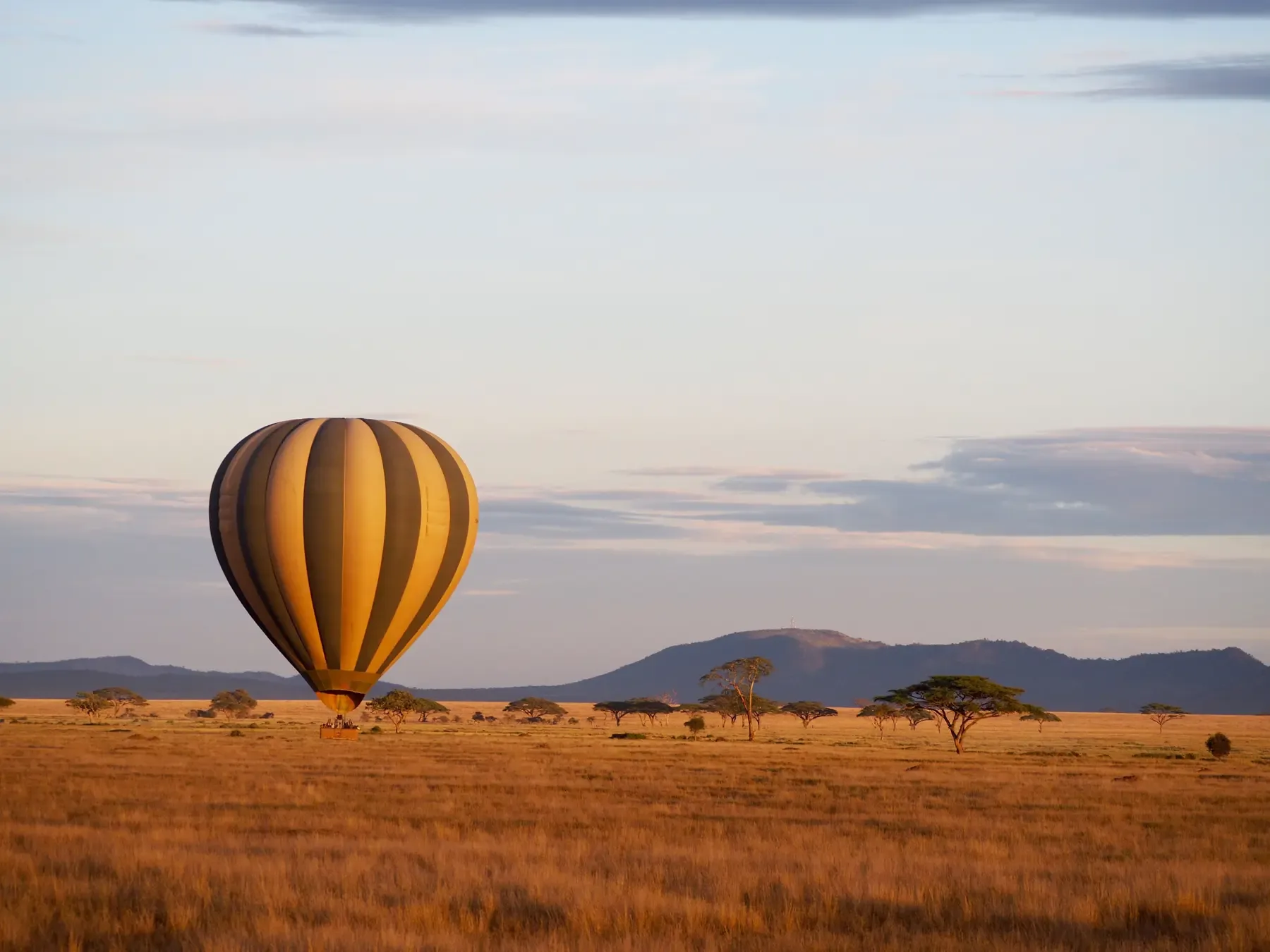 A hot-air balloon drifts low over the golden plains of the Serengeti at dawn.